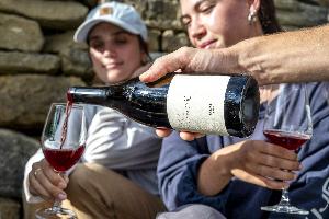 Erntedank im Weinberg